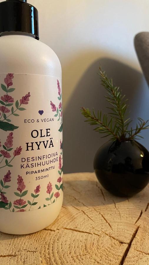 Taloyllaes, Huonemajoitus Hotel Äkäslompolo Kültér fotó